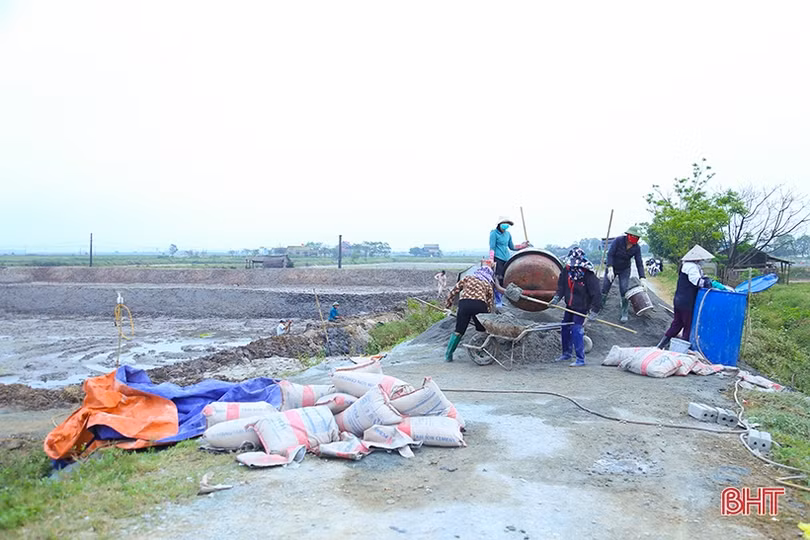 Người nuôi tôm Hà Tĩnh cải tạo ao đầm, đầu tư thâm canh vụ xuân - hè 