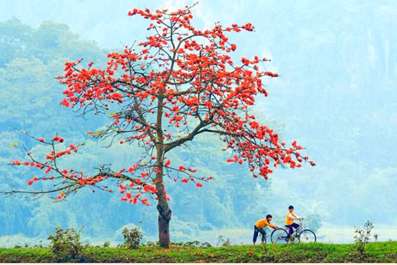 Dịu dàng màu nắng tháng ba