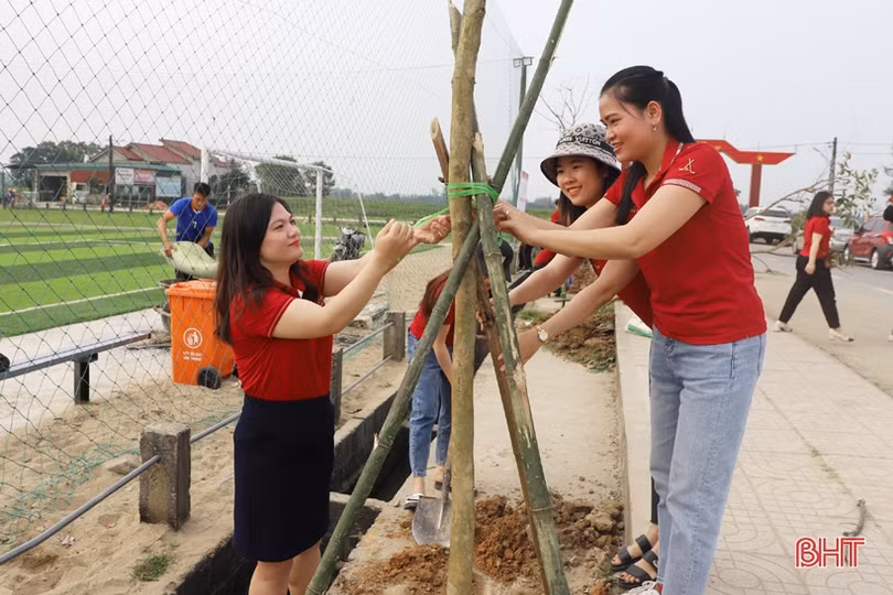 Đoàn cơ sở Agribank tỉnh Hà Tĩnh tài trợ cây xanh xây dựng nông thôn mới