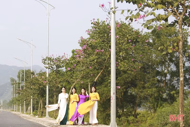 Vẻ đẹp của hoa ban trên cung đường dẫn tới Hoan Châu đệ nhất danh lam 