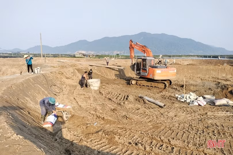 Người nuôi tôm Hà Tĩnh cải tạo ao đầm, đầu tư thâm canh vụ xuân - hè 