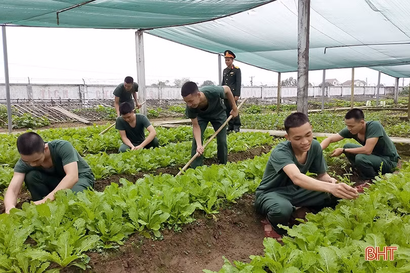 Gần gũi, thân tình giúp tân binh Hà Tĩnh yên tâm rèn luyện