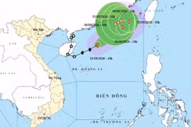 Theo dõi chặt chẽ diễn biến, chủ động ứng phó với bão số 5
