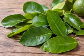 Cách dùng lá chanh giảm ho, dễ thực hiện 