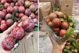 Tác dụng làm đẹp da của quả mận hậu