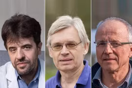 Nghiên cứu về quang di truyền học đoạt giải Nobel Y sinh 2026