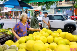 Bưởi Phúc Trạch đầu mùa... xuống phố