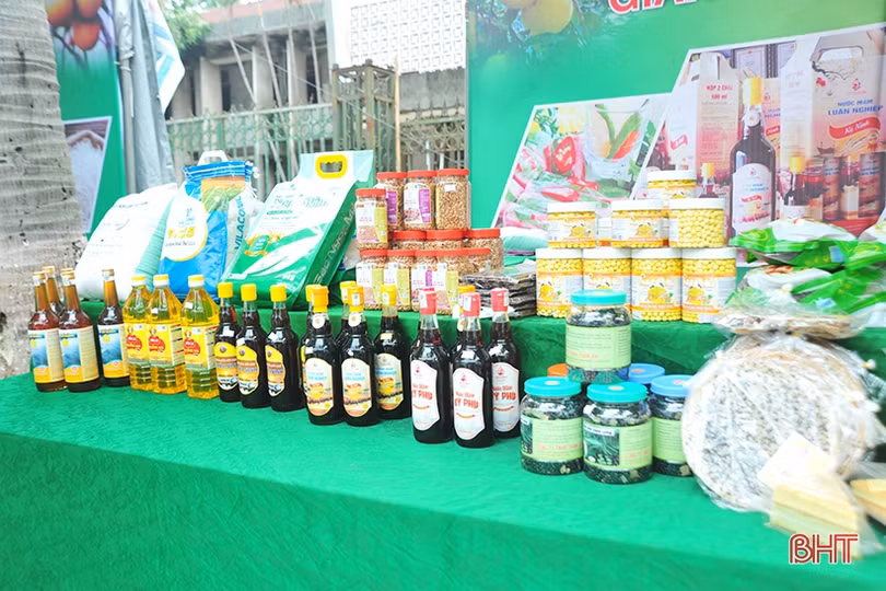 Tuần lễ kết nối tiêu thụ nông sản tại Hà Tĩnh phấn đấu tiêu thụ gần 200 tấn sản phẩm