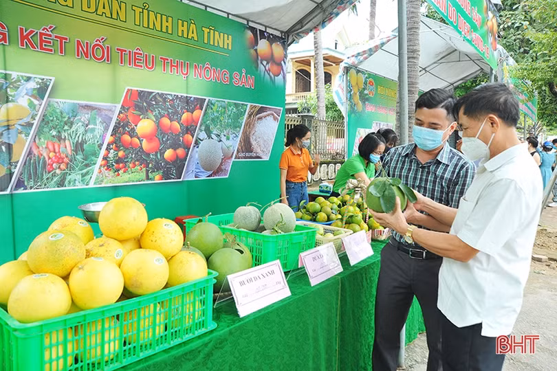 Tuần lễ kết nối tiêu thụ nông sản tại Hà Tĩnh phấn đấu tiêu thụ gần 200 tấn sản phẩm