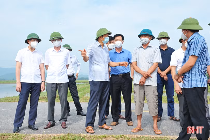 Can Lộc cần phát huy tốt các mô hình tập trung ruộng đất