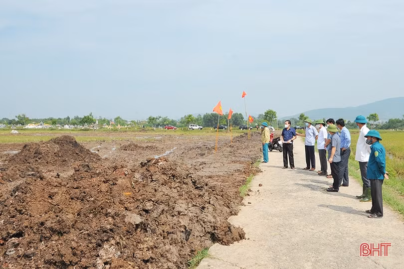 Can Lộc cần phát huy tốt các mô hình tập trung ruộng đất