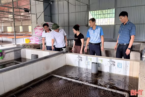 Thượng Đức phát triển mô hình kinh tế mới, mở rộng thị trường tiêu thụ