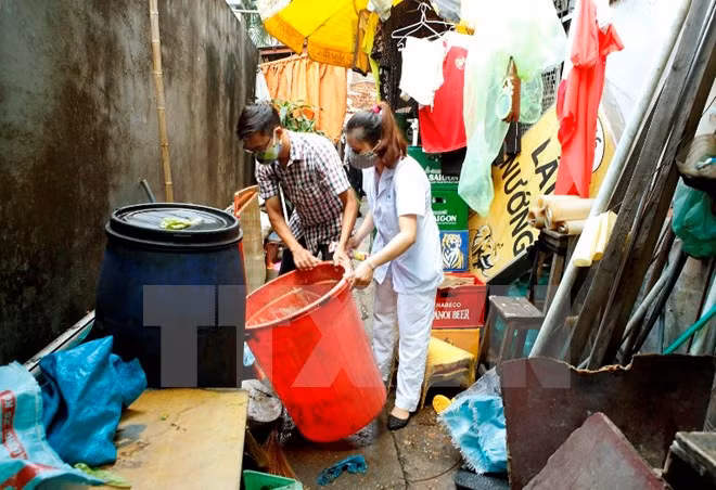 cong bo chi tiet ve loai muoi aedes dang gay dich sot xuat huyet
