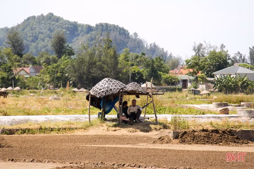 Người dân Hà Tĩnh miệt mài lao động trong nắng nóng gay gắt