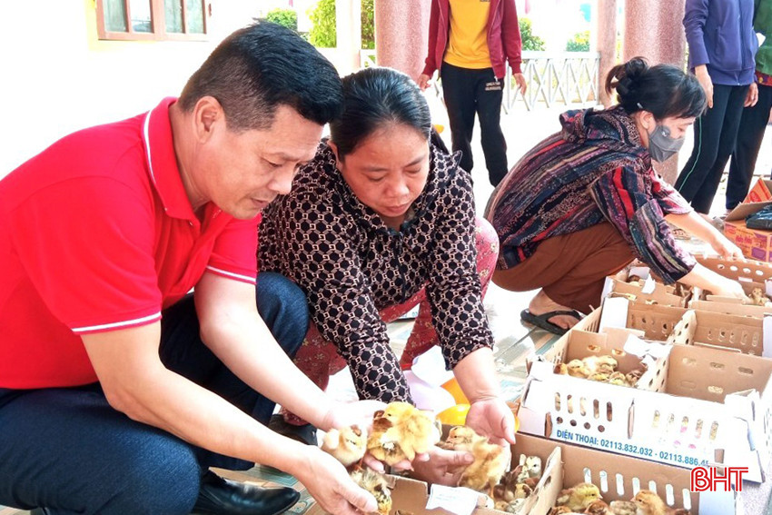 Hỗ trợ mô hình sinh kế là một trong những phần việc được các cấp hội chữ thập đỏ tích cực triển khai trong Tháng Nhân đạo 2024.