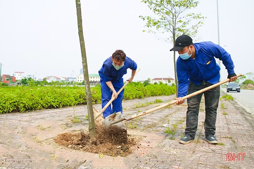 Những góc phố mướt xanh tại TP Hà Tĩnh