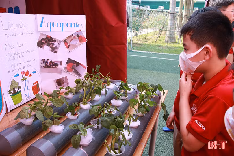 Học sinh hào hứng với Ngày hội Khoa học - Science Day ở iSchool Hà Tĩnh