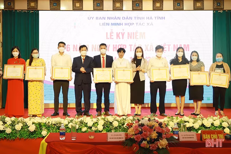 Nỗ lực phát triển kinh tế tập thể ngày càng lớn mạnh ảnh 6 Nỗ lực phát triển kinh tế tập thể ngày càng lớn mạnh