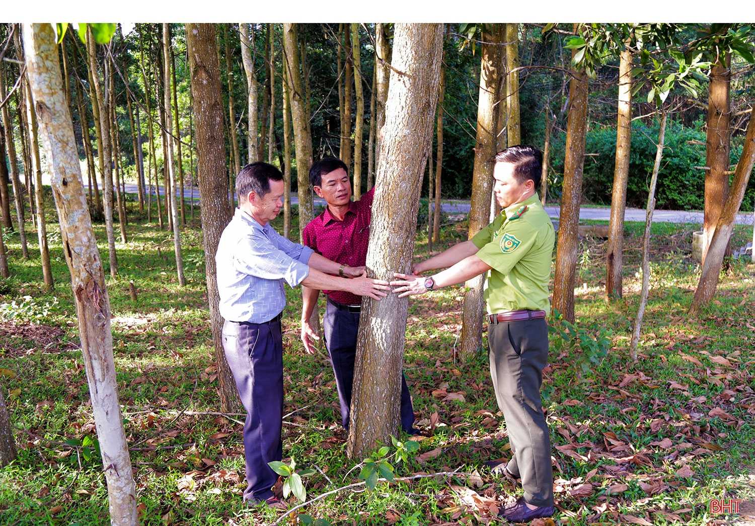 Kiểm lâm Hà Tĩnh với sứ mệnh bảo vệ và phát triển rừng