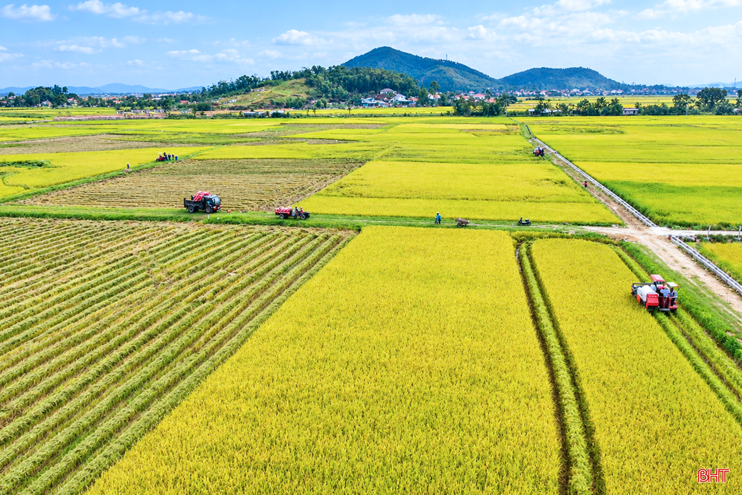 bqbht_br_chatgpt-image-10-01-13-8-thg-9-2026.png