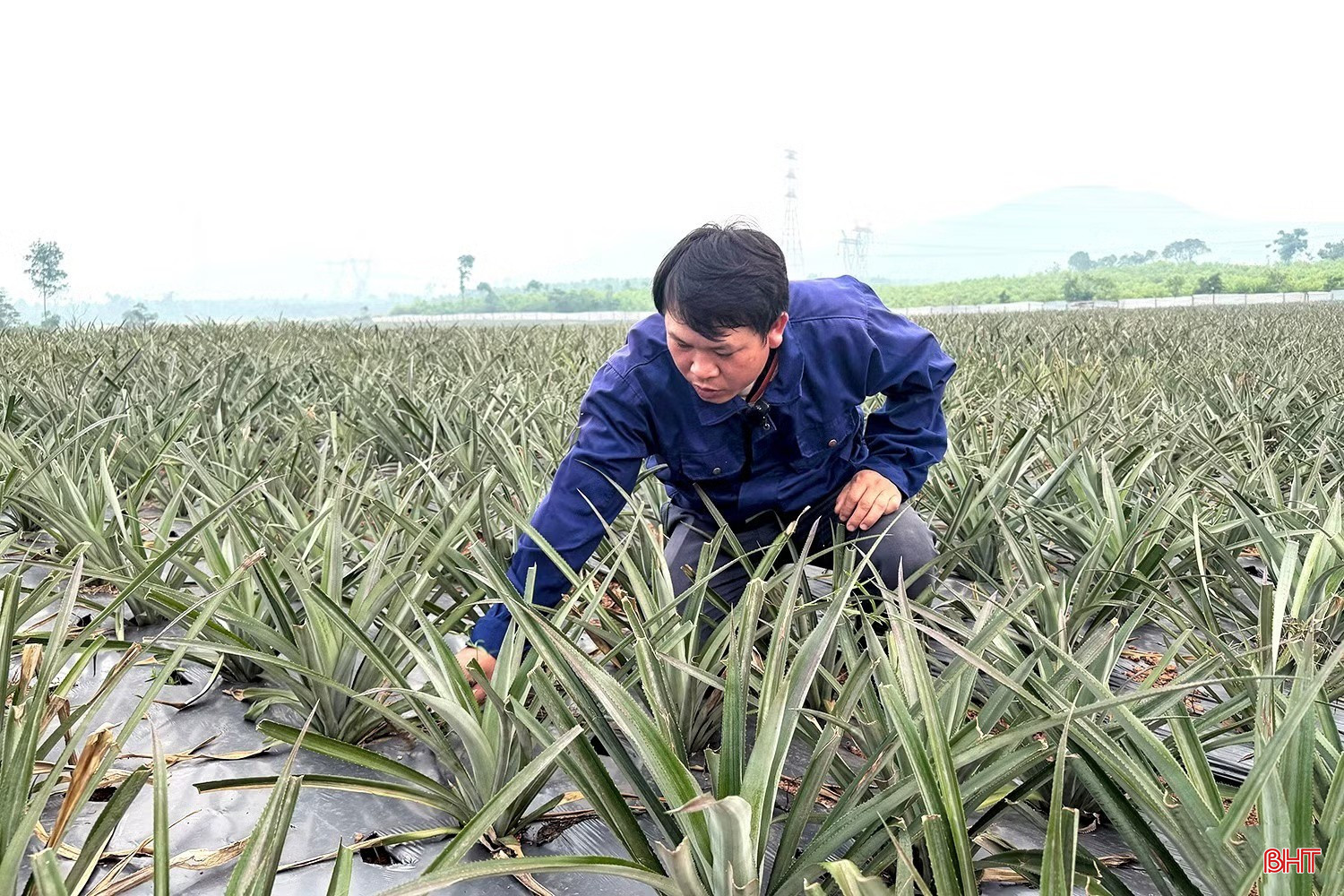 bqbht_br_anh-chuyen-doi.jpg