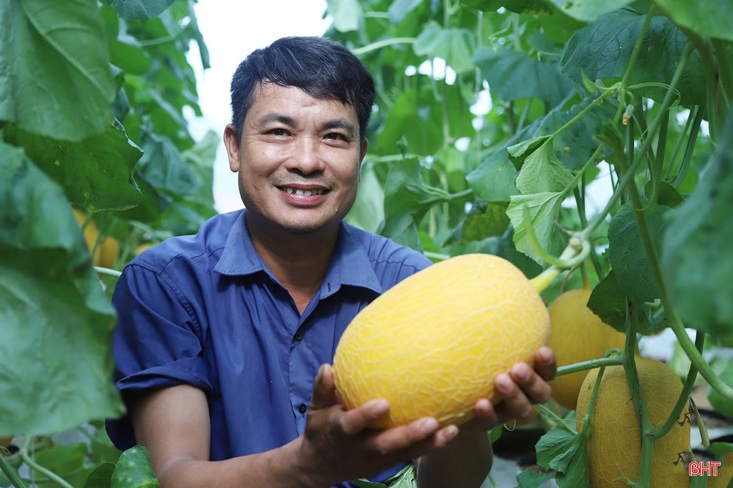bqbht_br_anh-1.jpg
