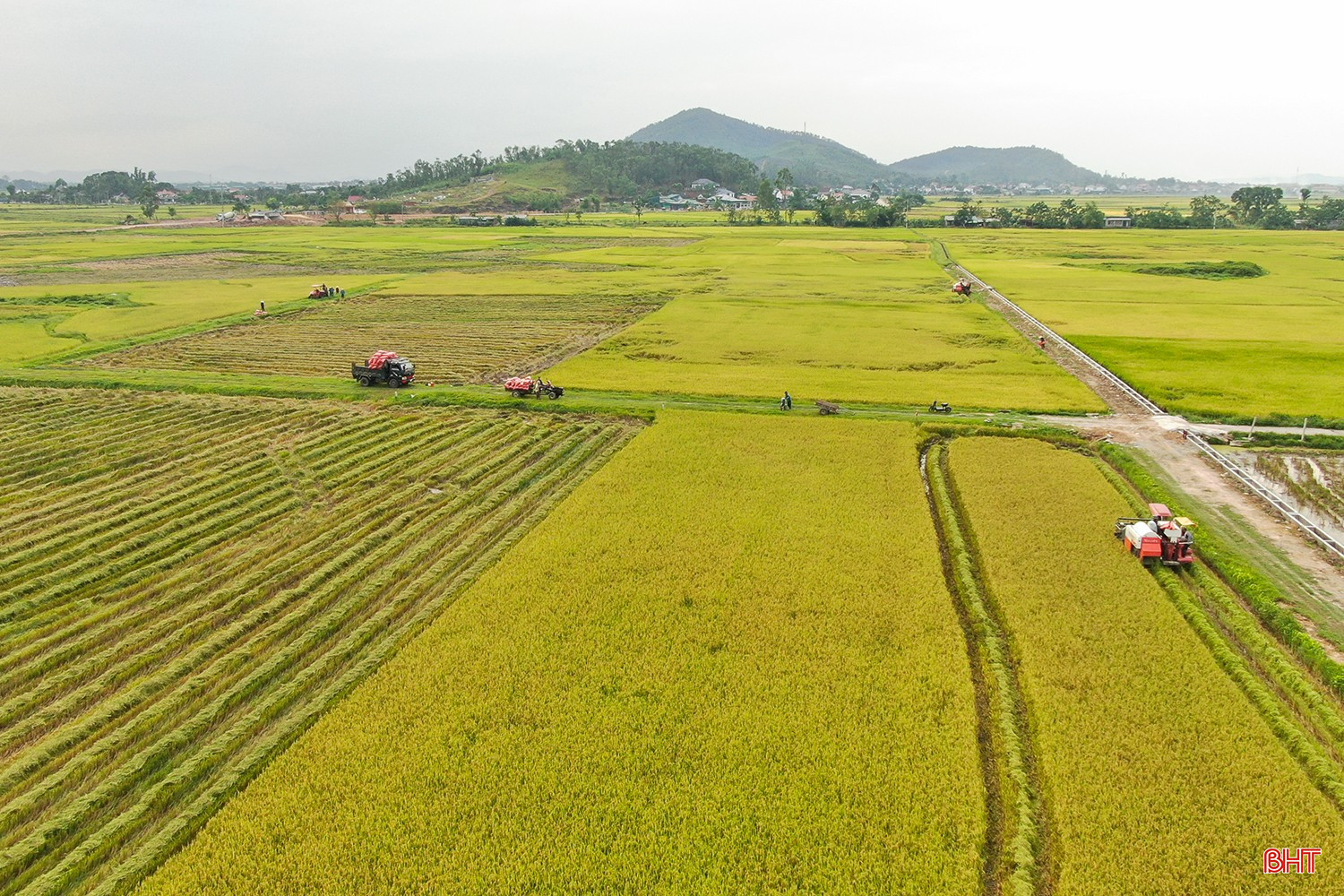 bqbht_br_dji-0617.jpg