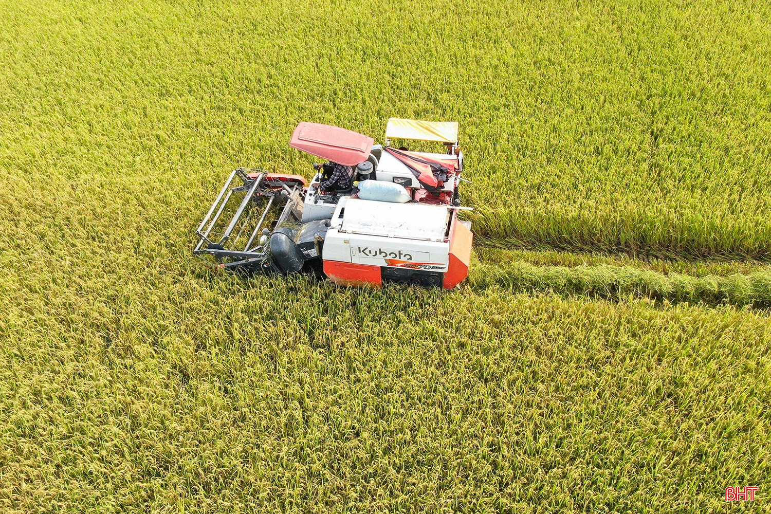 bqbht_br_dji-0614.jpg