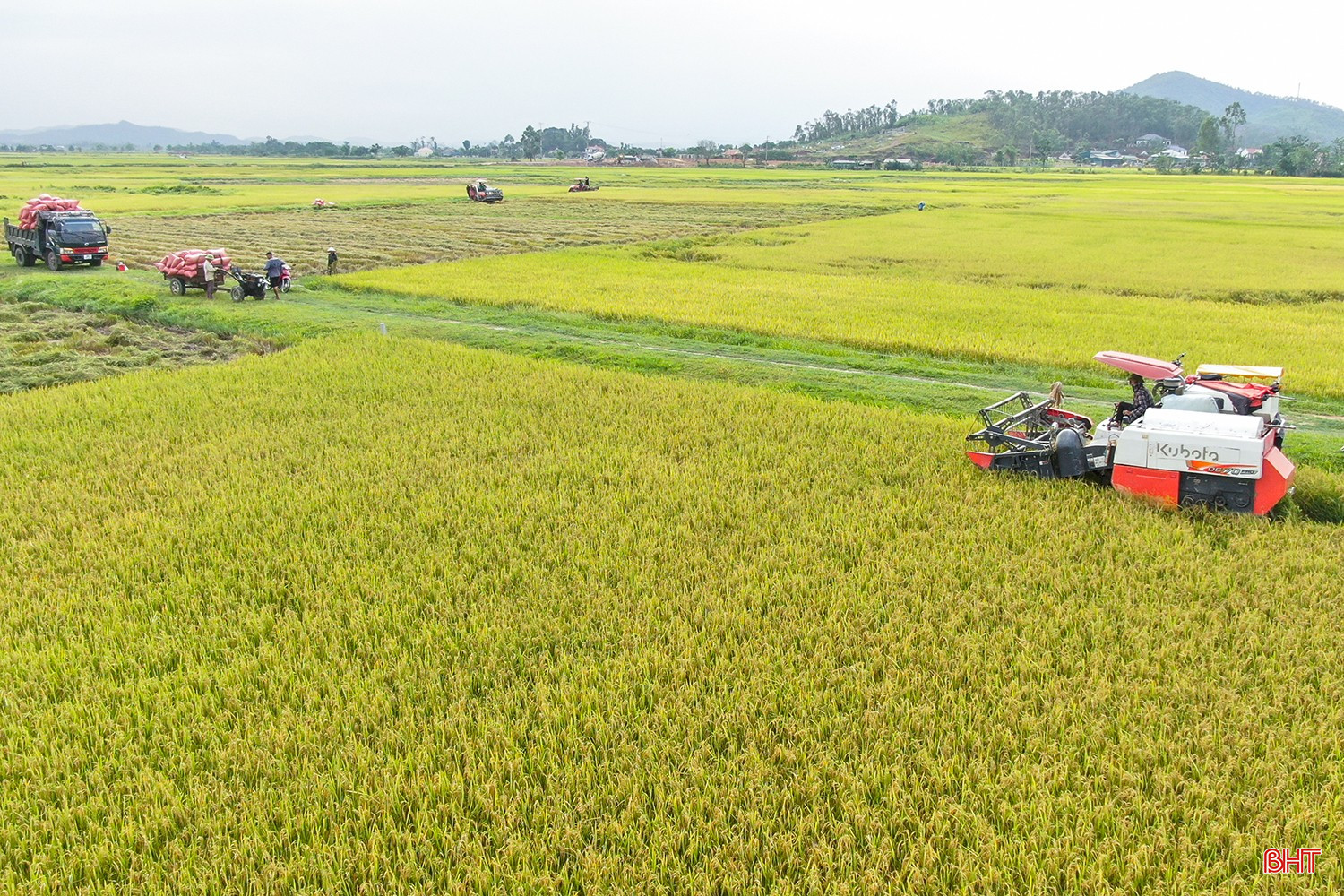 bqbht_br_dji-0609.jpg