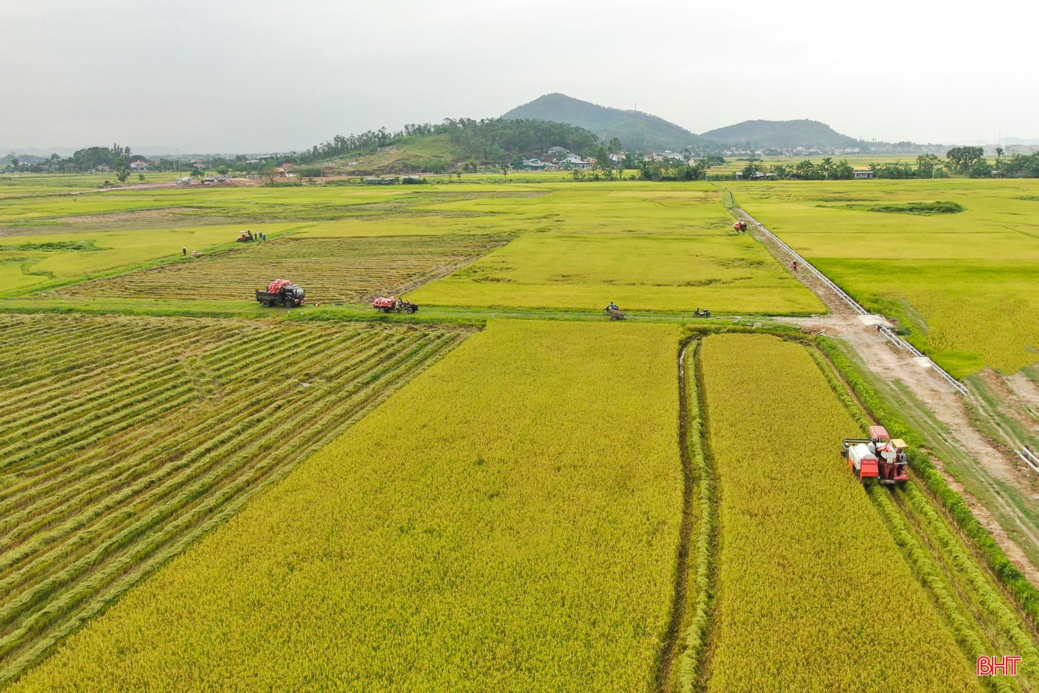 bqbht_br_dji-0616.jpg
