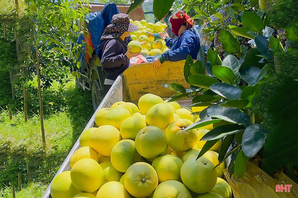 bqbht_br_z7013369301585-16819f0de9a5948c3151ea5ca6bf5b99.jpg