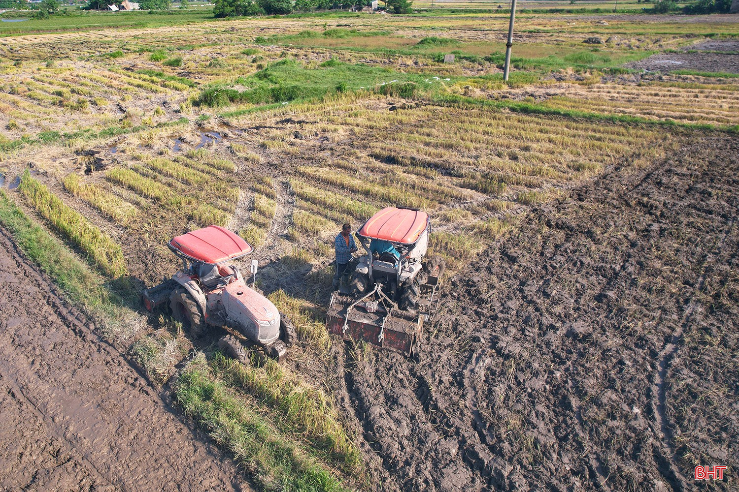 bqbht_br_dji-0022.jpg