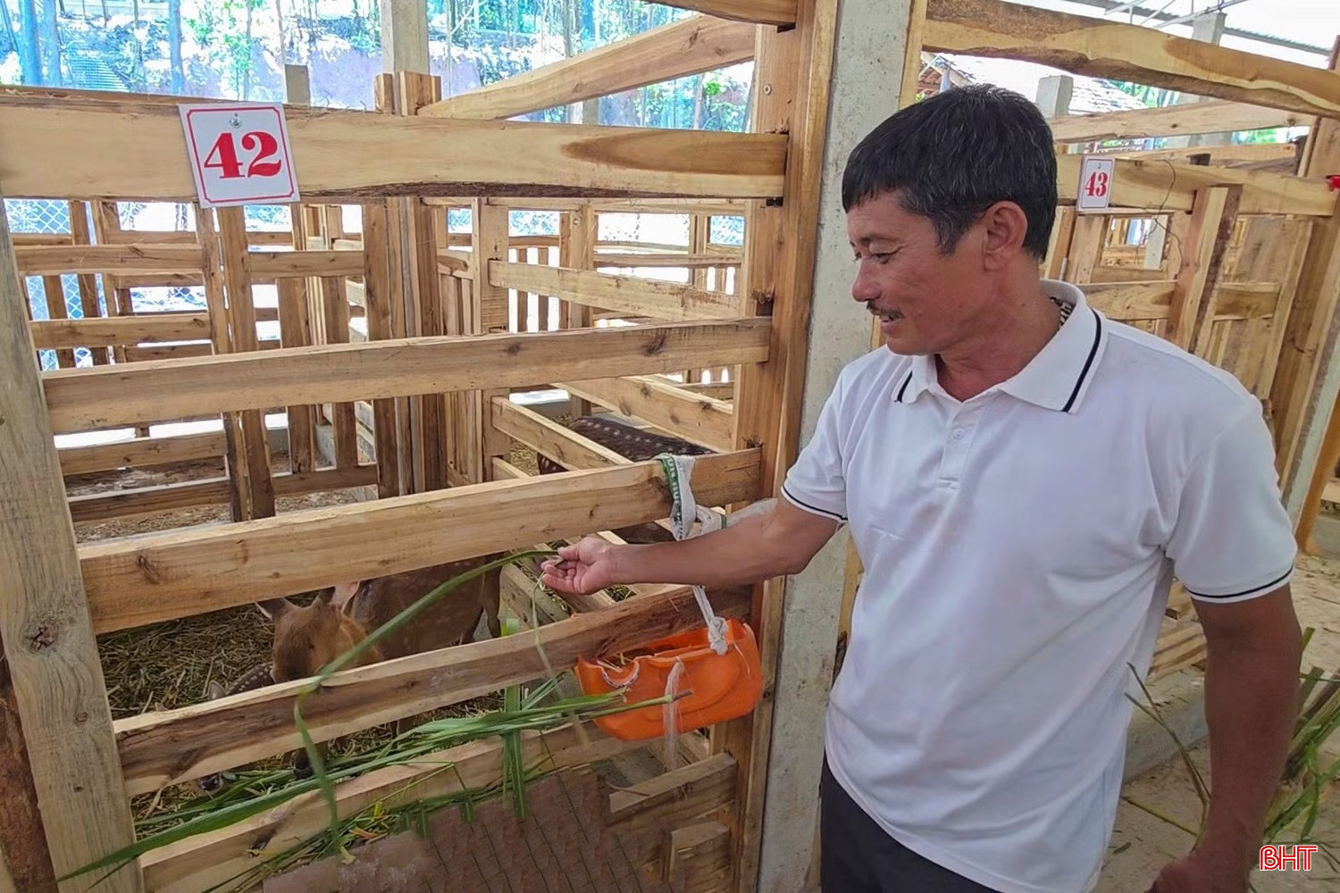 bqbht_br_anh-huou-chuyen-sang-jpg.jpg