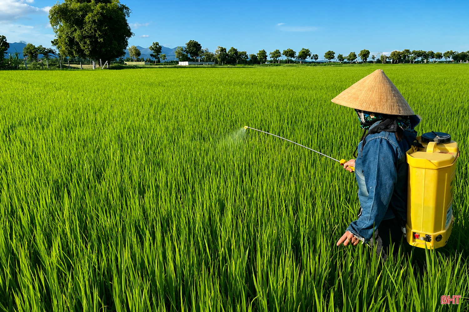 bqbht_br_chatgpt-image-09-31-47-11-thg-7-2026.png