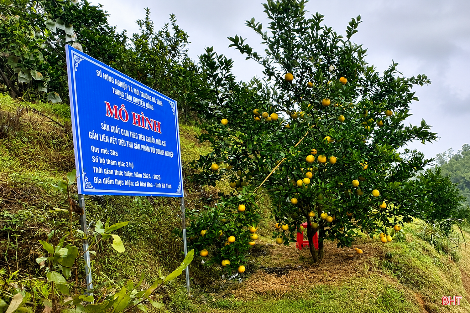 bqbht_br_chatgpt-image-15-18-35-26-thg-7-2026.png