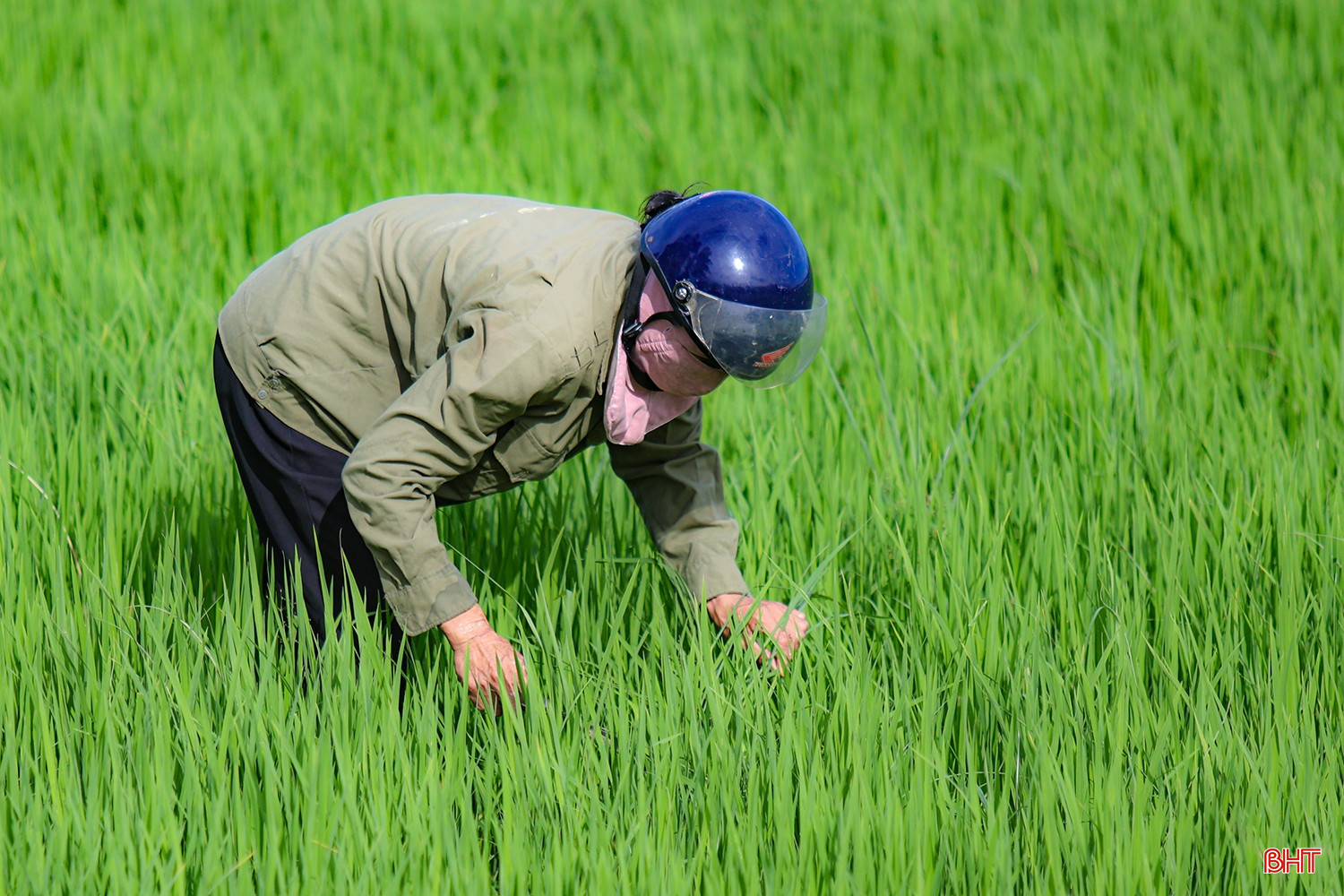 bqbht_br_aimg-2659-duc-thinh.jpg