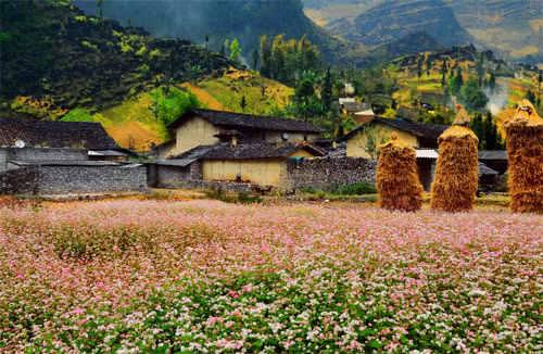 khach tay thich song o viet nam hon nhieu nuoc chau au