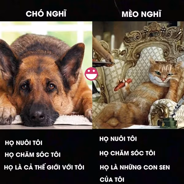 cuoi te ghe tam nang thoai mai khong so den da