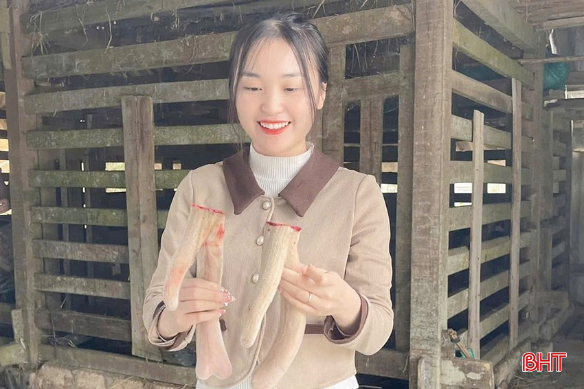 bqbht_br_z6314802694278-fa4a220092dca9c275814509b55b7699.jpg