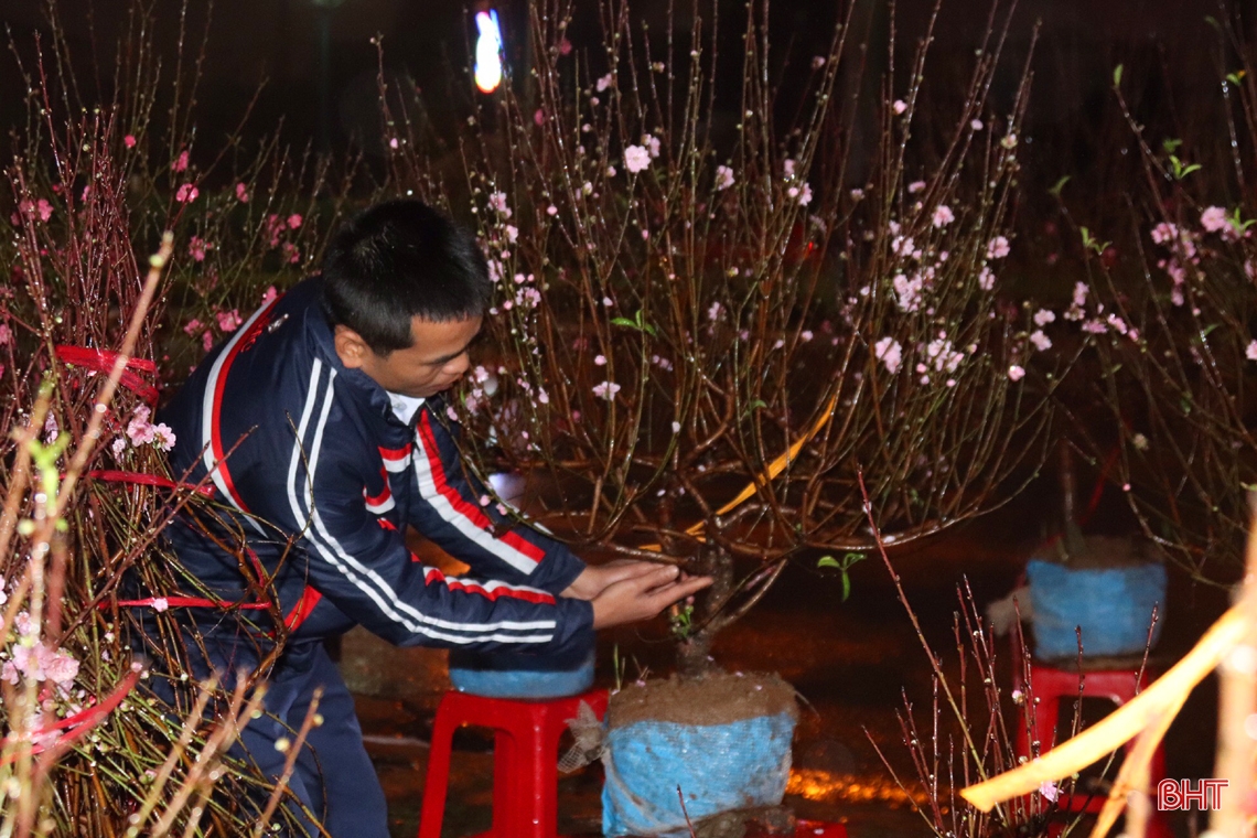 Hà Tĩnh: Tiểu thương bán hoa, cây cảnh trắng đêm đốt lửa, dựng lều chờ... khách 