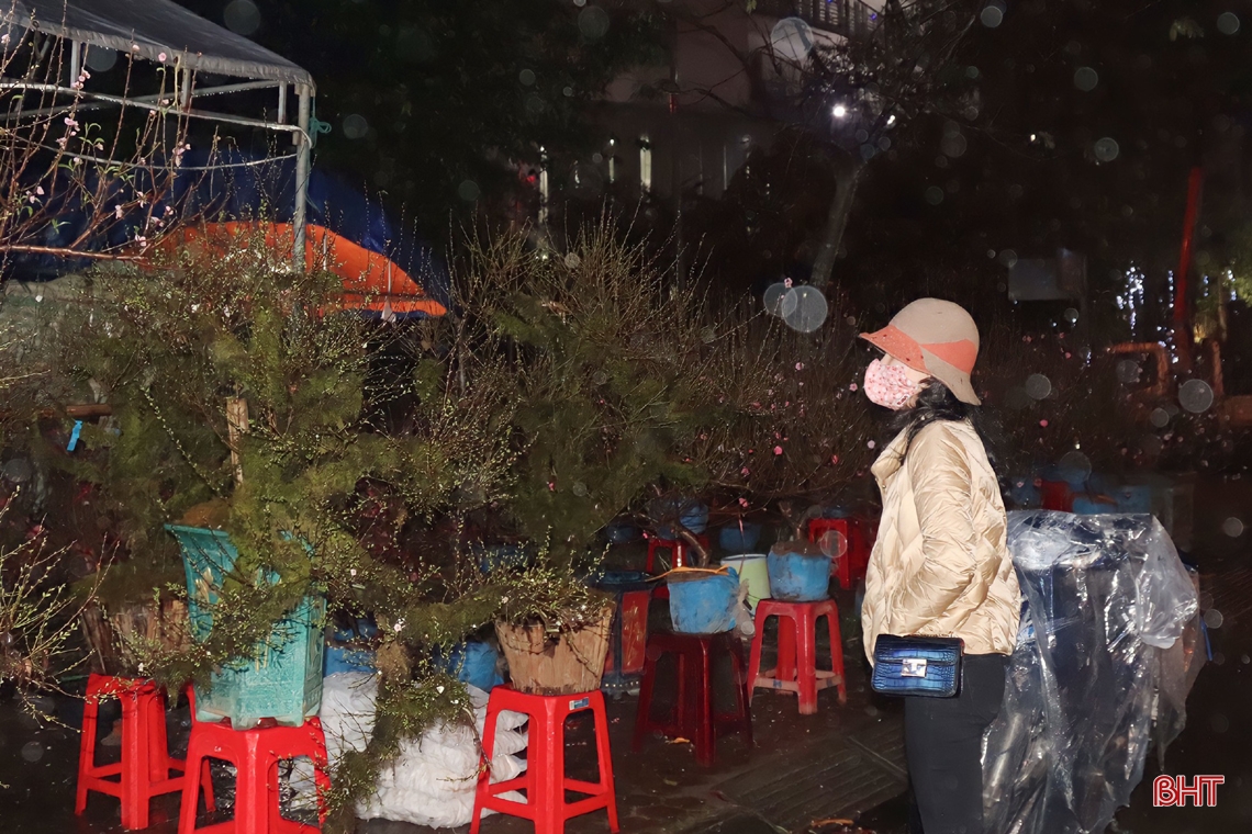 Hà Tĩnh: Tiểu thương bán hoa, cây cảnh trắng đêm đốt lửa, dựng lều chờ... khách 