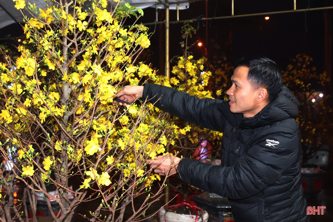Hà Tĩnh: Tiểu thương bán hoa, cây cảnh trắng đêm đốt lửa, dựng lều chờ... khách 