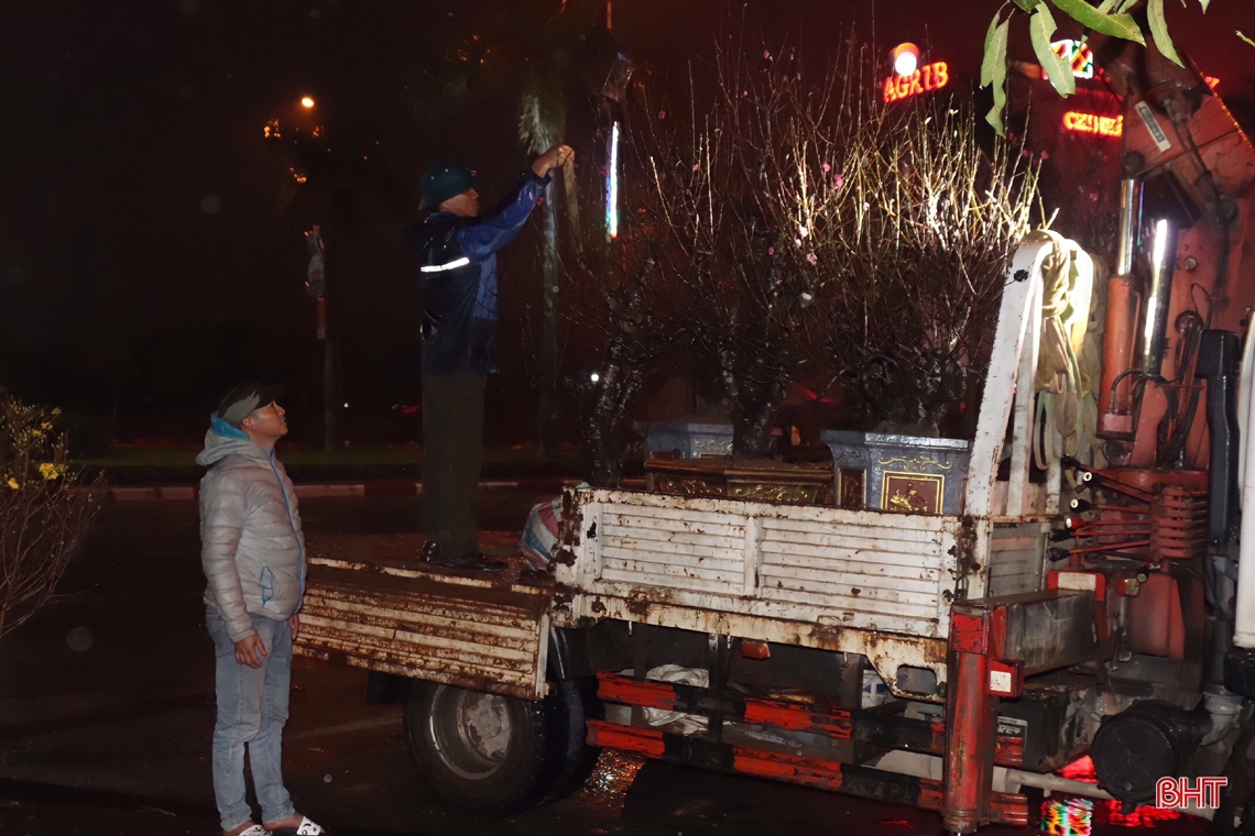 Hà Tĩnh: Tiểu thương bán hoa, cây cảnh trắng đêm đốt lửa, dựng lều chờ... khách 