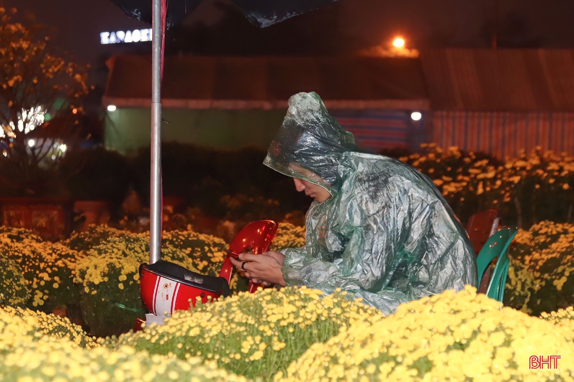 Hà Tĩnh: Tiểu thương bán hoa, cây cảnh trắng đêm đốt lửa, dựng lều chờ... khách 