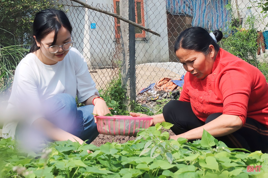 Cô học trò nghèo Hà Tĩnh và hành trình chinh phục giải nhất HSG quốc gia