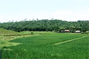 Một góc làng Vòng.