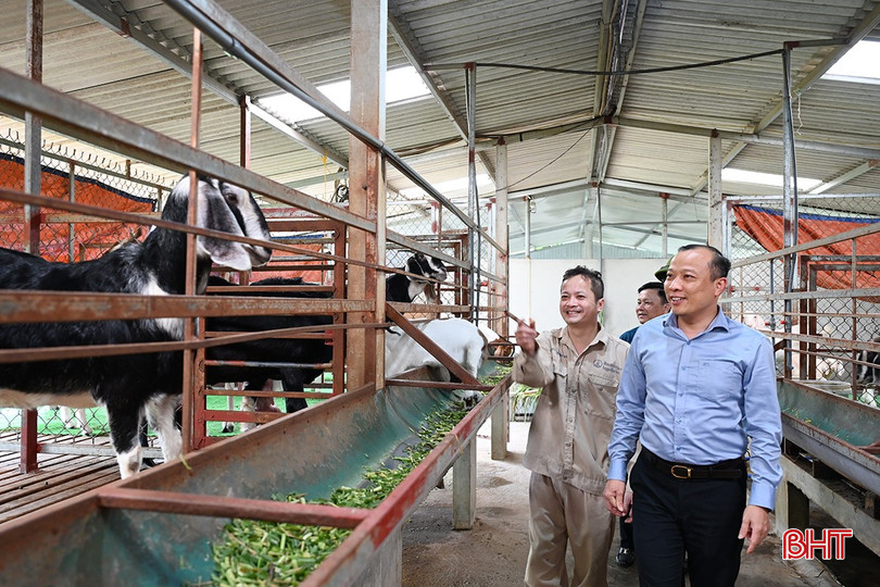 Tranh thủ thời tiết thuận lợi để đẩy nhanh tiến độ xóa nhà tạm ở Hương Khê ảnh 6