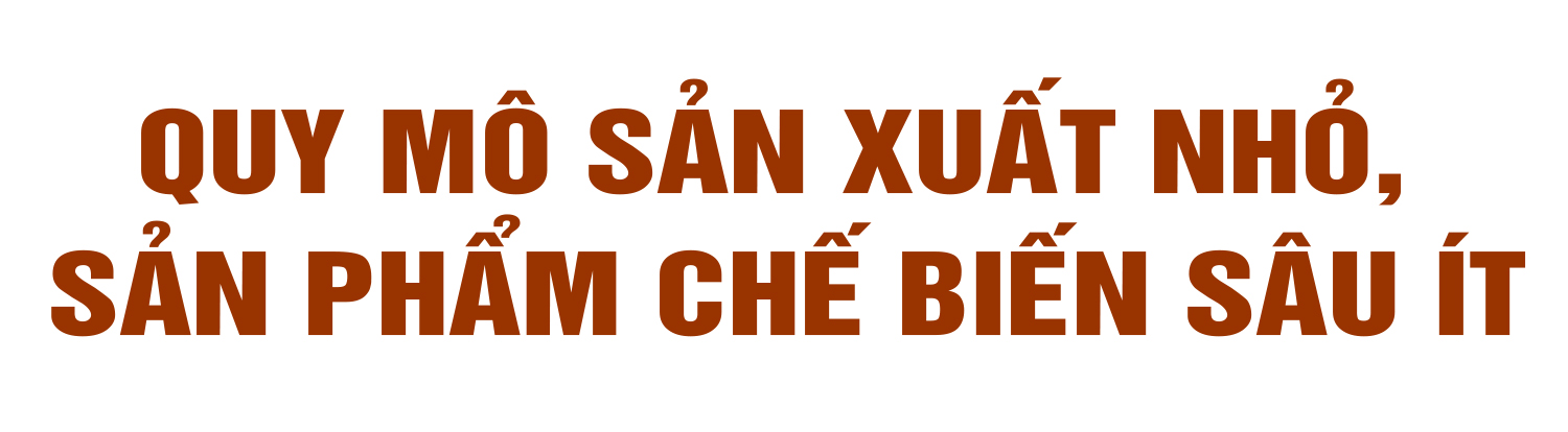 Chương trình OCOP - “đòn bẩy” phát triển kinh tế nông thôn (bài 2): Không ít sản phẩm OCOP loay hoay nơi “ao làng”