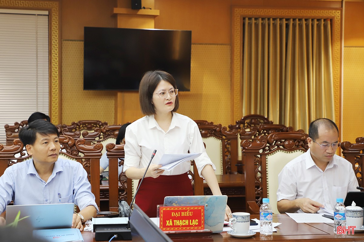 Bí thư Đảng ủy, Chủ tịch HĐND xã Thạch Lạc Nguyễn Thị Ái Liên báo cáo công tác chuẩn bị đại hội.