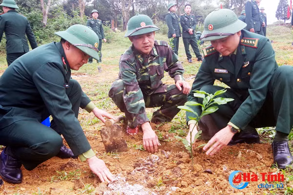 ha tinh soi noi tet trong cay dau xuan moi